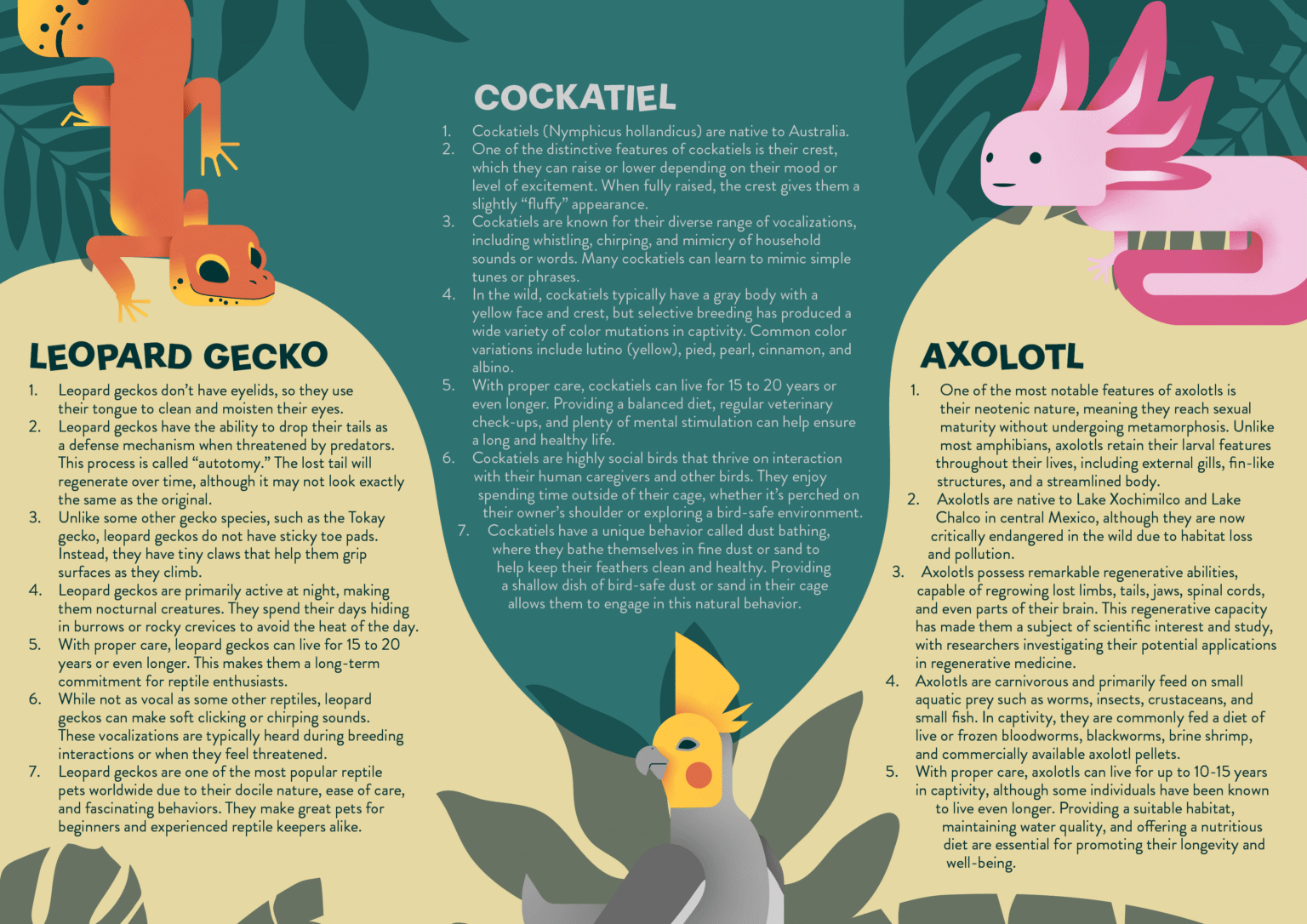 Branding Exotic Tropics Brochure Inside Spread