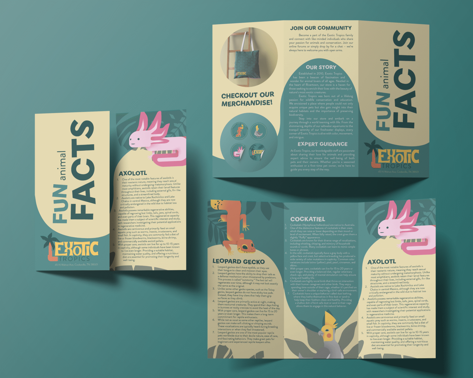 Branding Exotic Tropics Brochure Mockup
