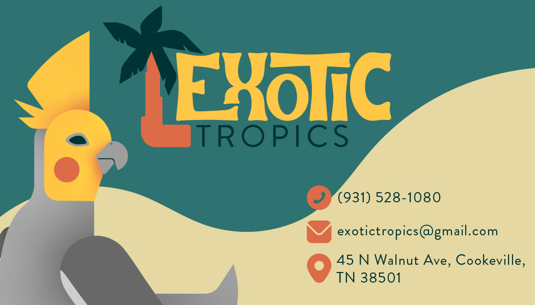 Branding Exotic Tropics Business Card Back