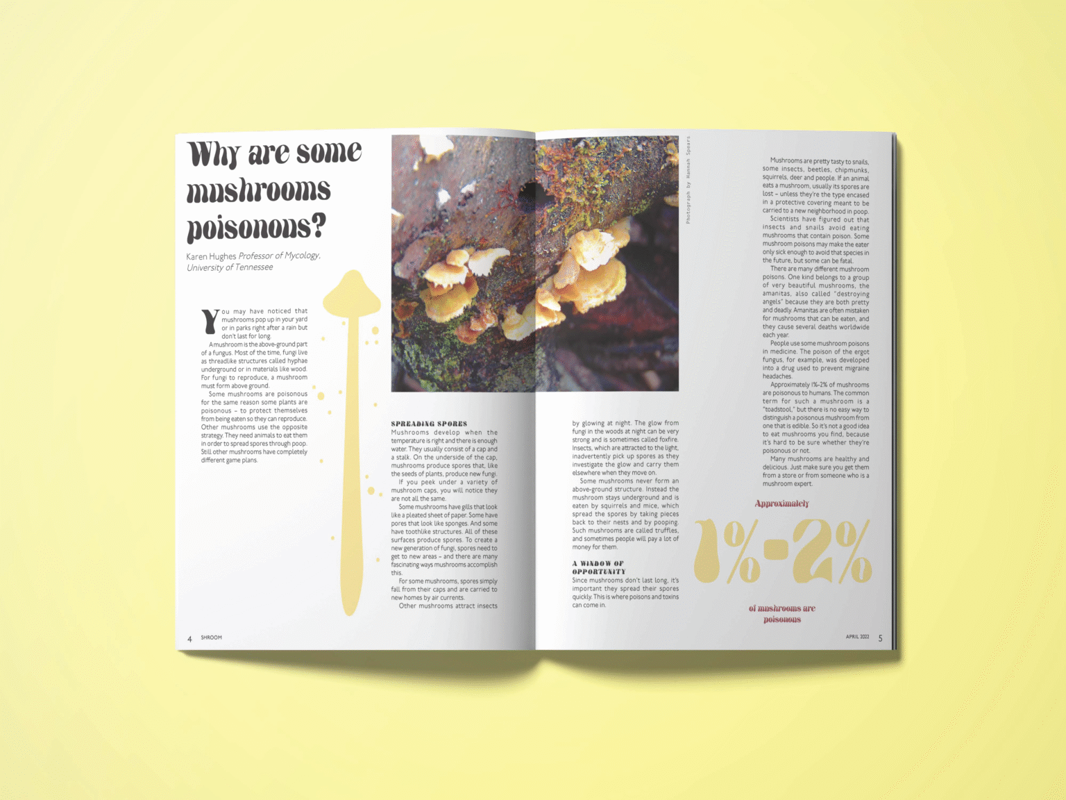 Editorial Shroom Magazine Why are some mushrooms poisonous Mockup