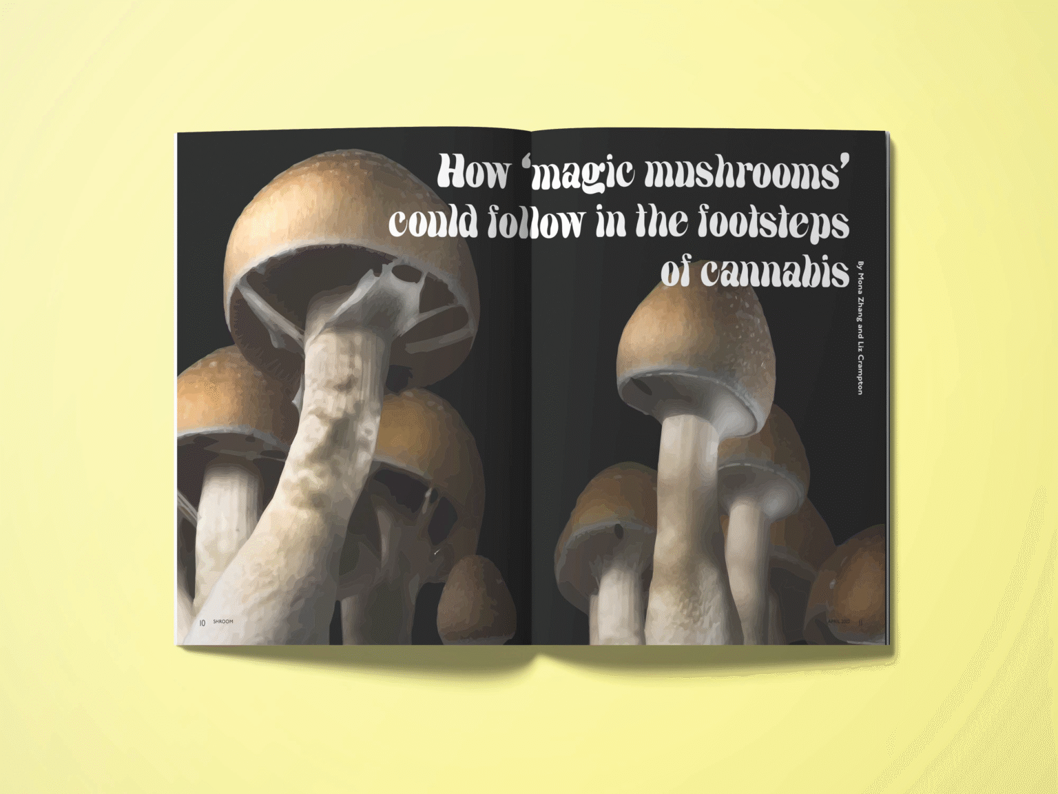 Editorial Shroom Magazine How 'magic mushrooms' could follow in the footsteps of cannabis Mockup