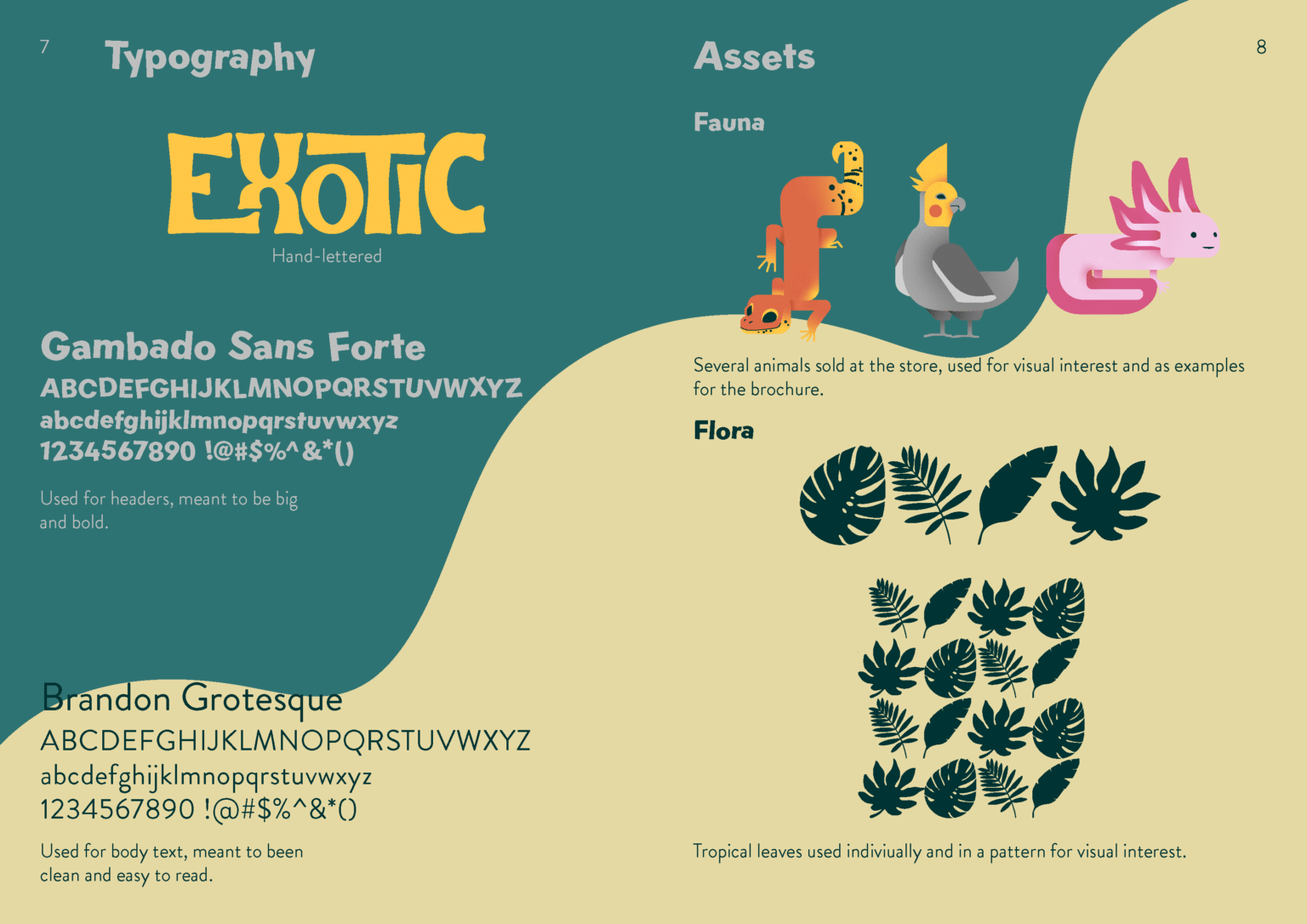 Branding Exotic Tropics Style Guide Page 4