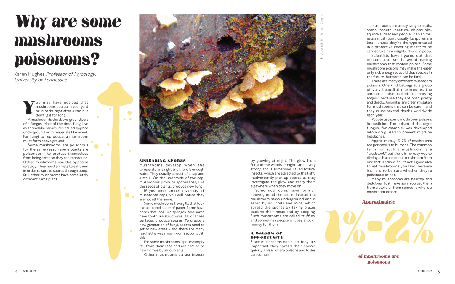 Editorial Shroom Magazine Spread 2