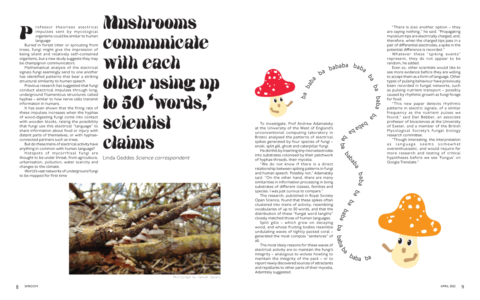 Editorial shroom mag flats page 5