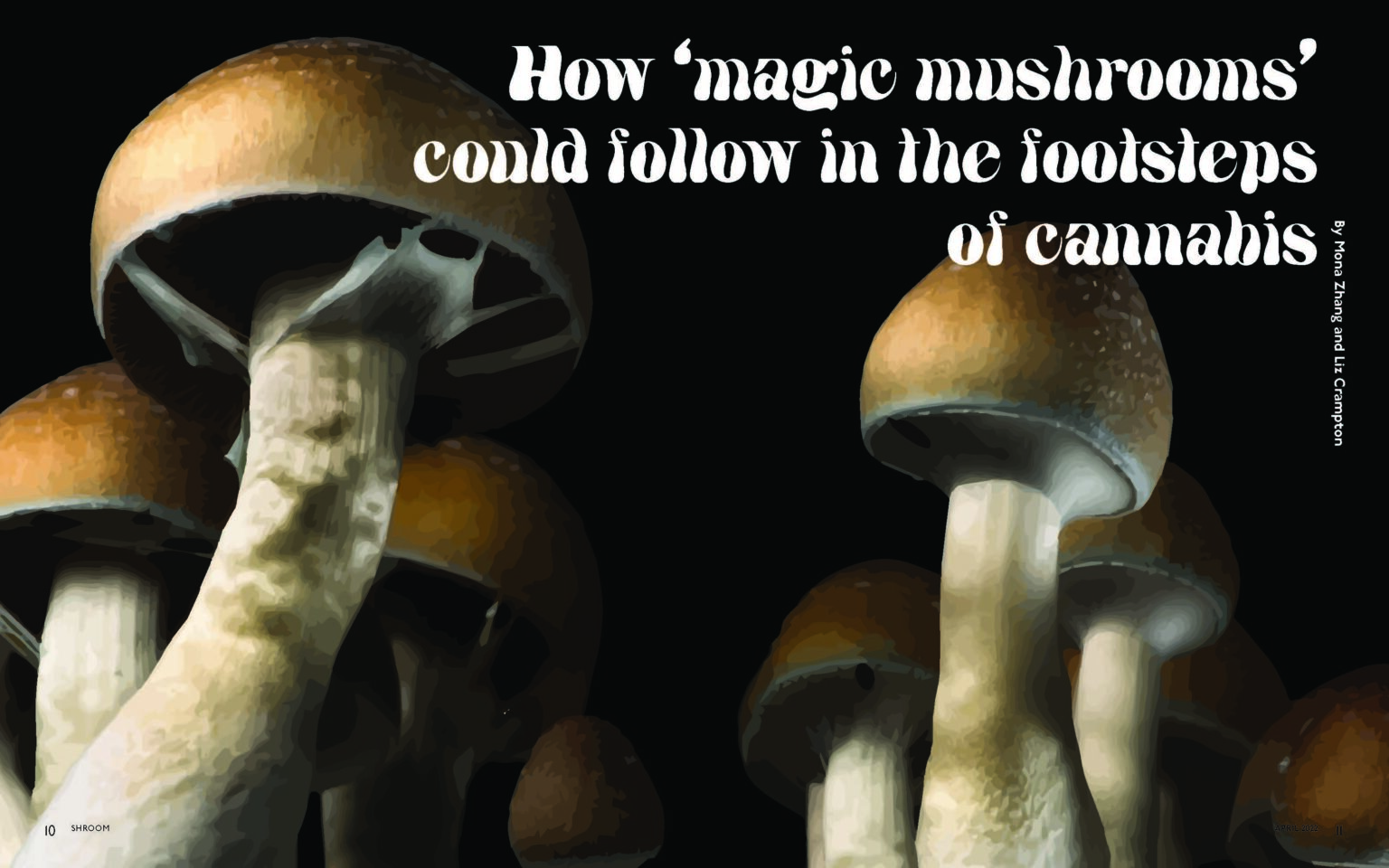 Editorial Shroom Magazine Spread 5