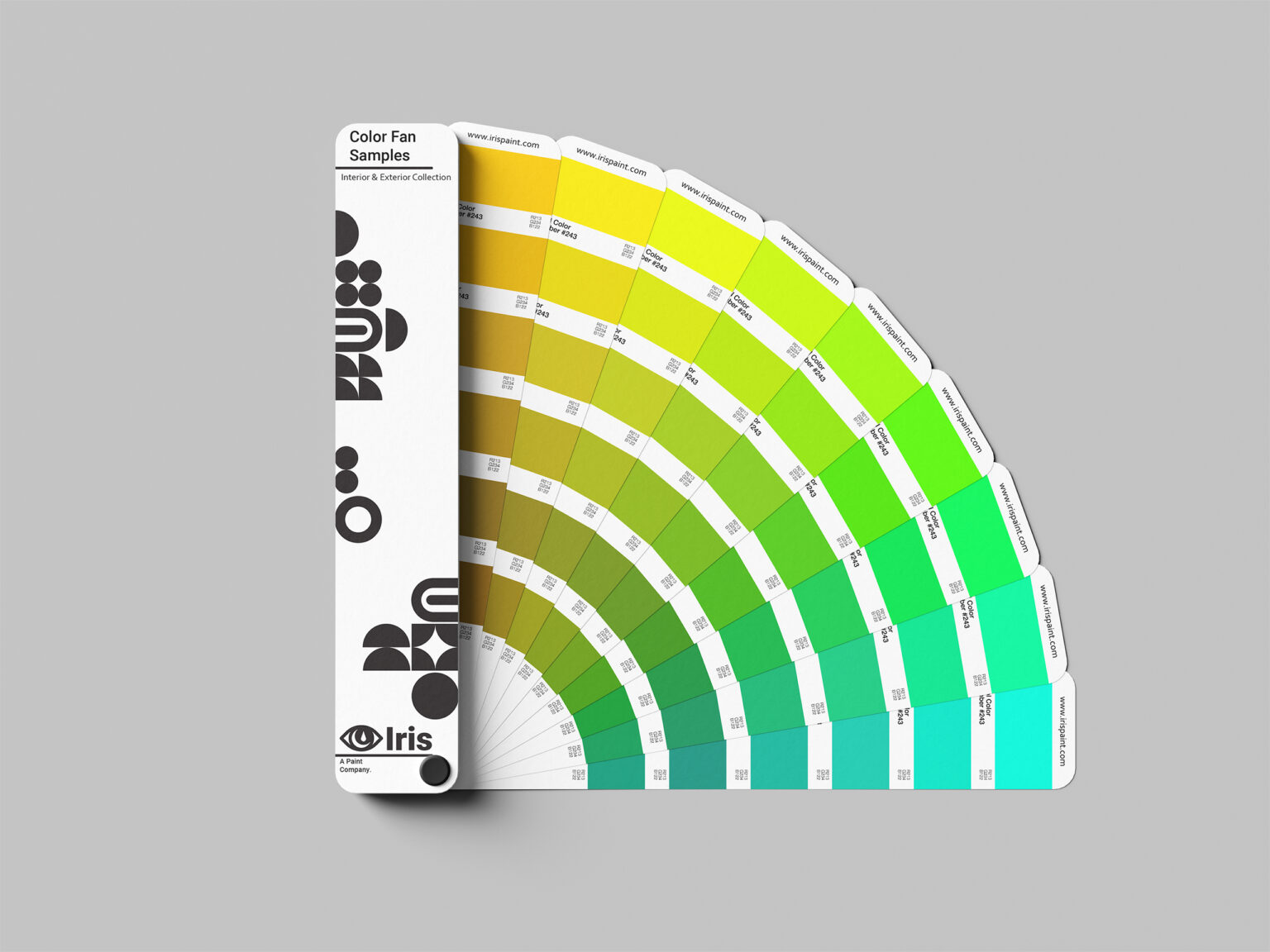 Branding Iris Color Fan Mockup